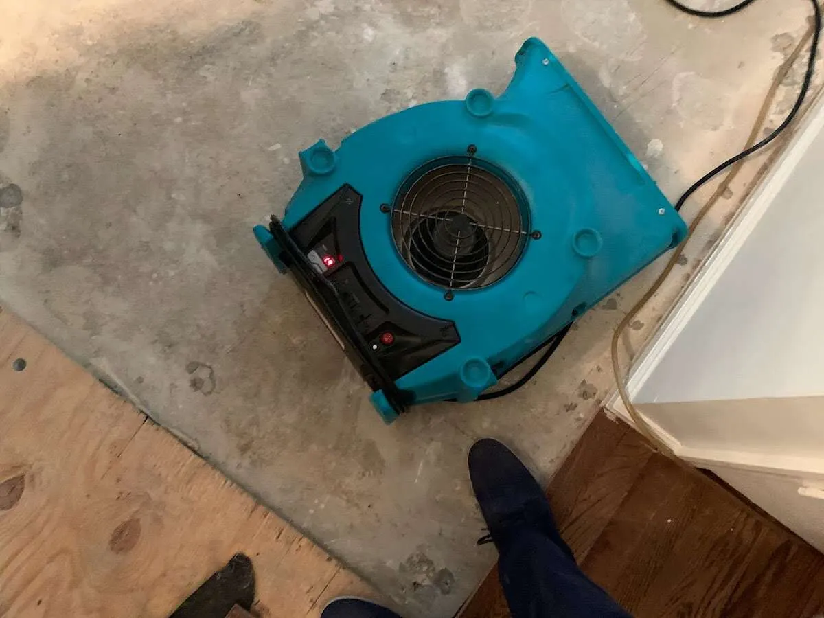 Air mover drying subfloor during Leak Detection & Repair in Crockett